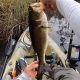 Best Kayak Fishing Spots: Choctawhatchee Bay Guide | Certified Kayak Fishing Instructor – Learn Kayak Angling with Expert Guidance