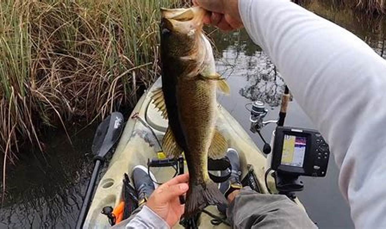Best Kayak Fishing Spots: Choctawhatchee Bay Guide | Certified Kayak Fishing Instructor – Learn Kayak Angling with Expert Guidance