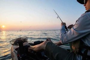 Best Kayak Fishing Spots: California Delta Guide Certified Kayak Fishing Instructor – Learn Kayak Angling with Expert Guidance Best Kayak Fishing Spots: California Delta Guide | Certified Kayak Fishing Instructor – Learn Kayak Angling with Expert Guidance