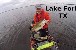 Best Kayak Fishing Spots: Lake Fork Guide Certified Kayak Fishing Instructor – Learn Kayak Angling with Expert Guidance Best Kayak Fishing Spots: Lake Fork Guide | Certified Kayak Fishing Instructor – Learn Kayak Angling with Expert Guidance