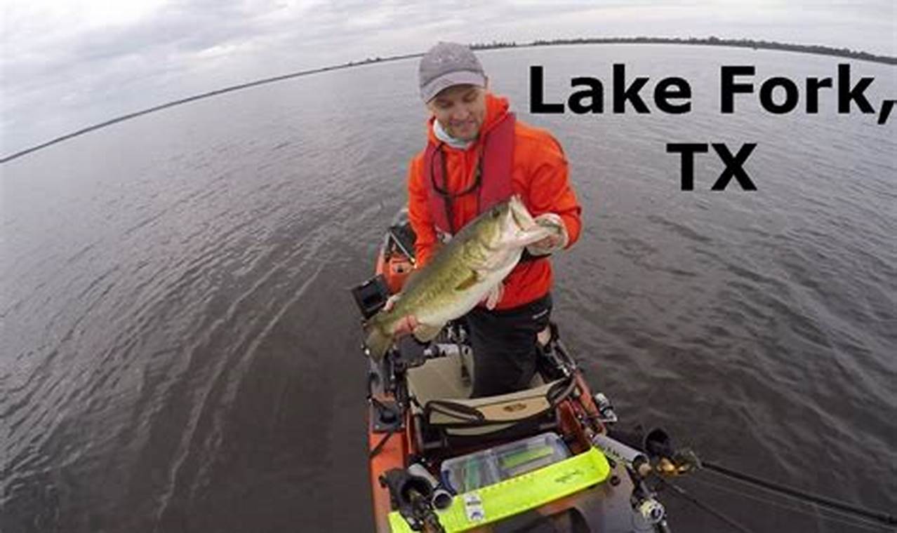 Best Kayak Fishing Spots: Lake Fork Guide Certified Kayak Fishing Instructor – Learn Kayak Angling with Expert Guidance Best Kayak Fishing Spots: Lake Fork Guide | Certified Kayak Fishing Instructor – Learn Kayak Angling with Expert Guidance