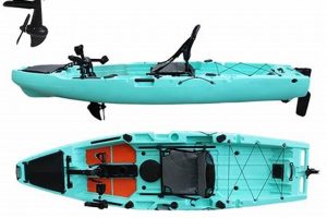 Best Fishing Kayak Propellers & Motors Guide Certified Kayak Fishing Instructor – Learn Kayak Angling with Expert Guidance Best Fishing Kayak Propellers & Motors Guide | Certified Kayak Fishing Instructor – Learn Kayak Angling with Expert Guidance