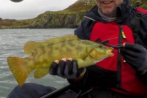 Best Kayak Fishing Spots in Ireland 2024 | Certified Kayak Fishing Instructor – Learn Kayak Angling with Expert Guidance