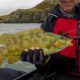 Best Kayak Fishing Spots in Ireland 2024 | Certified Kayak Fishing Instructor – Learn Kayak Angling with Expert Guidance