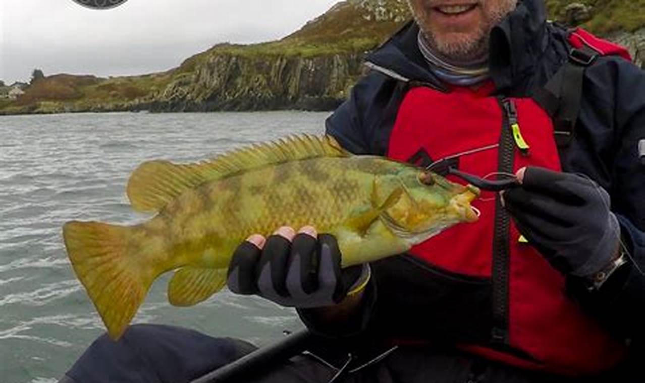 Best Kayak Fishing Spots in Ireland 2024 | Certified Kayak Fishing Instructor – Learn Kayak Angling with Expert Guidance
